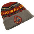 Grey-Red - Side - Harry Potter Unisex Adults Hogwarts Beanie
