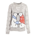 Front - Brave Soul Womens/Ladies Christmas Animal Snow Jumper
