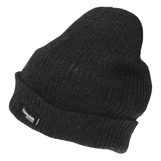 Grey - Front - Mens 3M Thinsulate Beanie