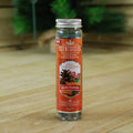Spiced Pine Cones - Lifestyle - Premier Scent Sicles