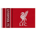 Red - Back - Liverpool FC WM Flag