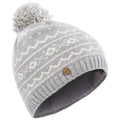 Platinum - Front - Trespass Holbray Knitted Hat